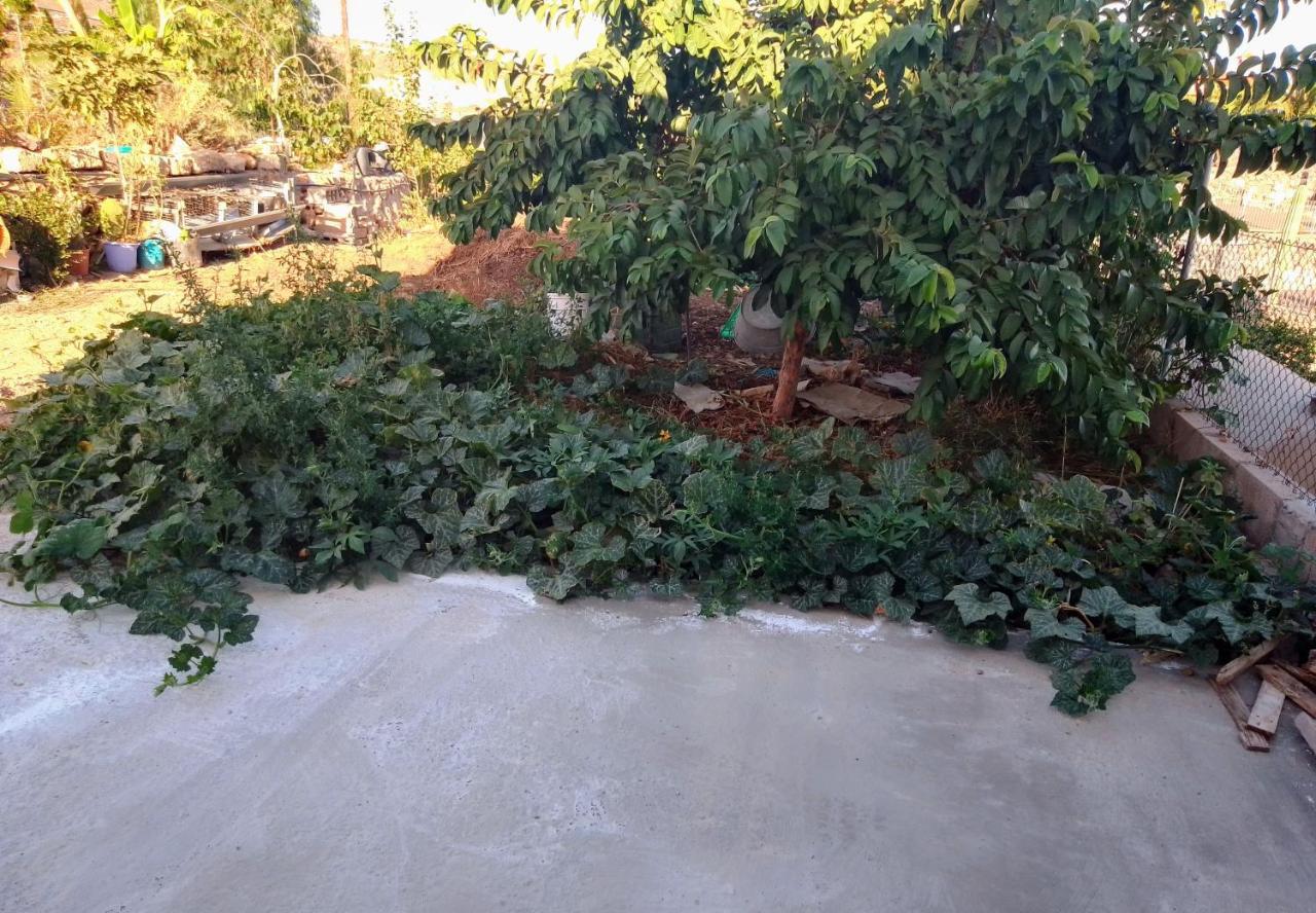 Casa Rural Mary Σαν Μιγκέλ ντε Αμπόνα Εξωτερικό φωτογραφία