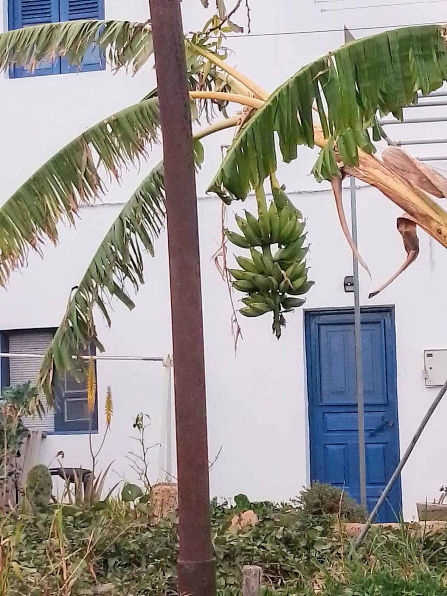 Casa Rural Mary Σαν Μιγκέλ ντε Αμπόνα Εξωτερικό φωτογραφία
