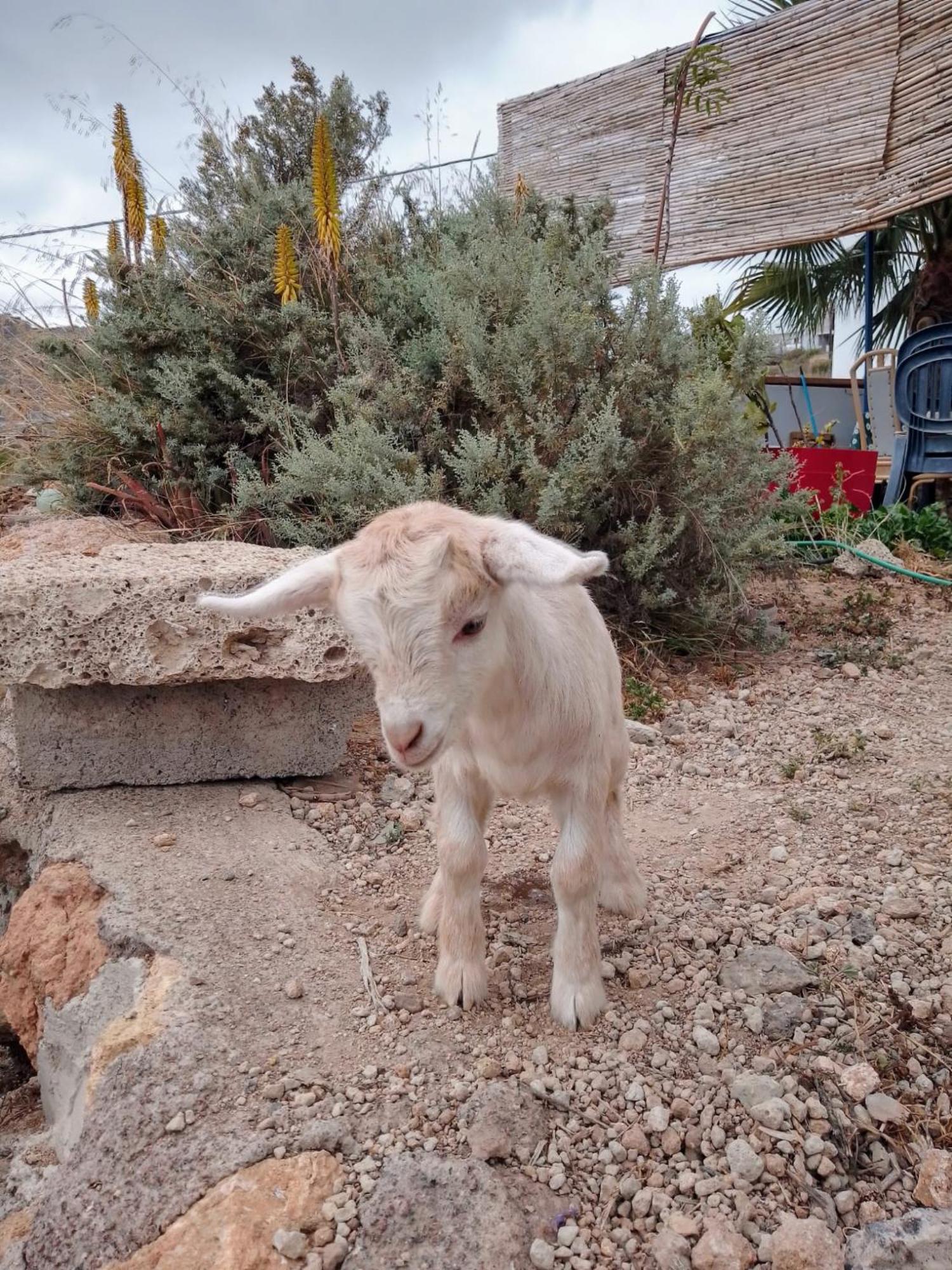 Casa Rural Mary Σαν Μιγκέλ ντε Αμπόνα Εξωτερικό φωτογραφία