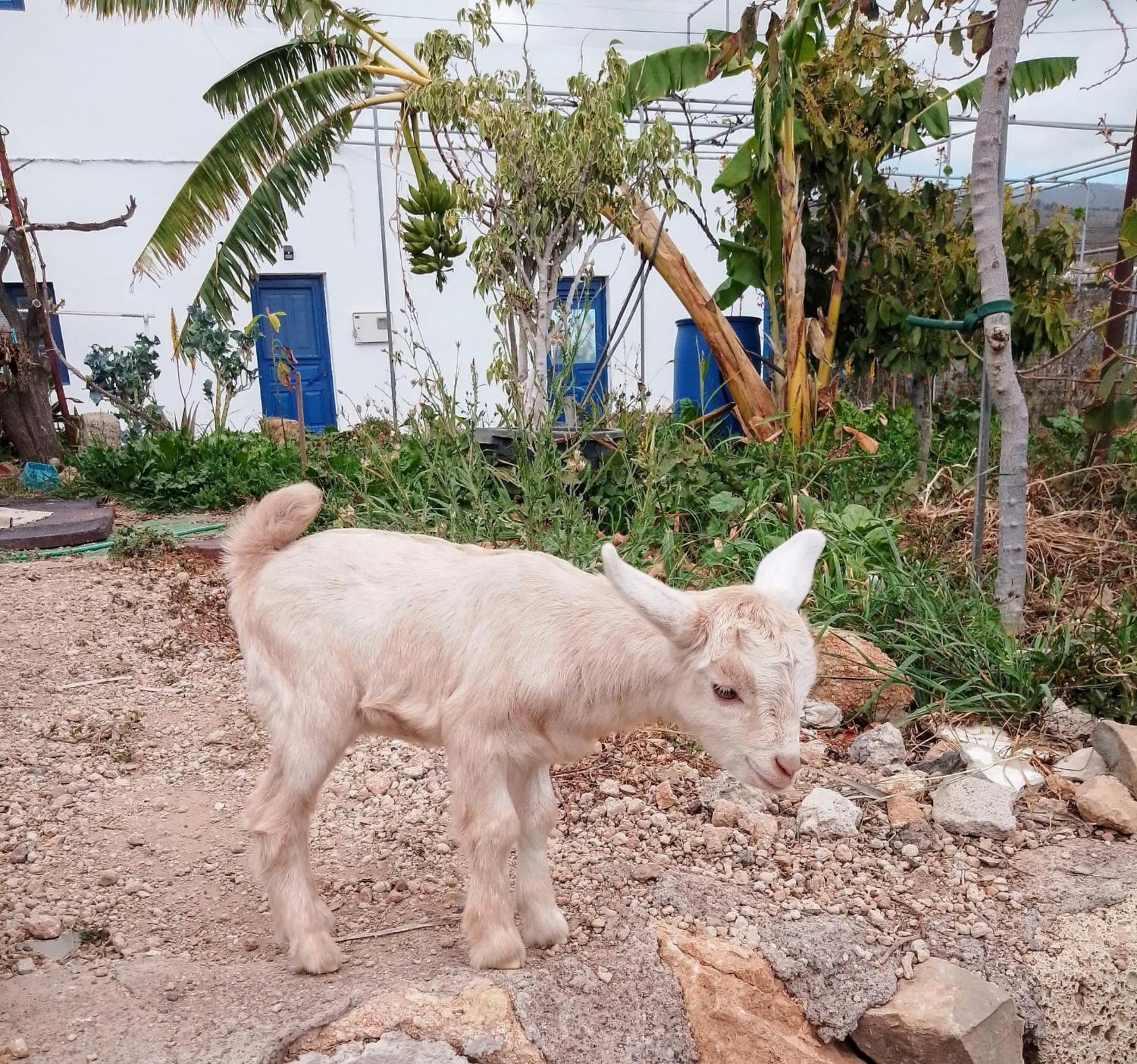 Casa Rural Mary Σαν Μιγκέλ ντε Αμπόνα Εξωτερικό φωτογραφία